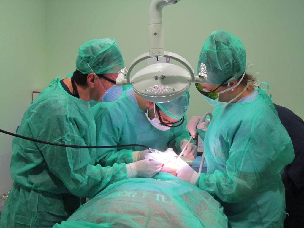 Inicio Máster Cirugía Bucal, Implantología y Periodoncia